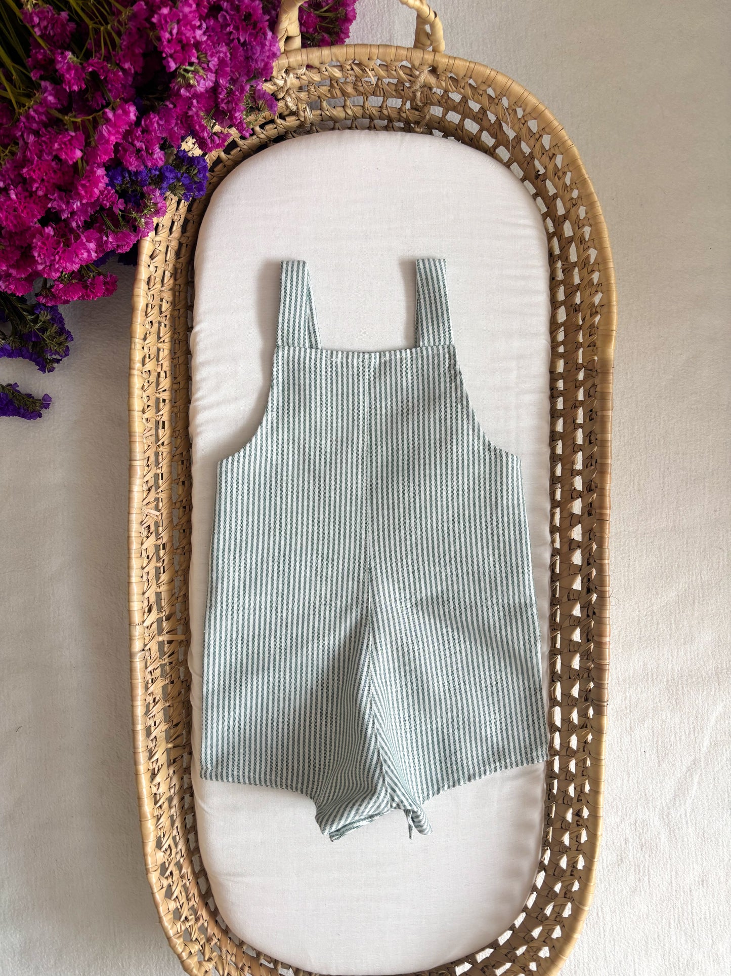 Jardineira Risca Verde