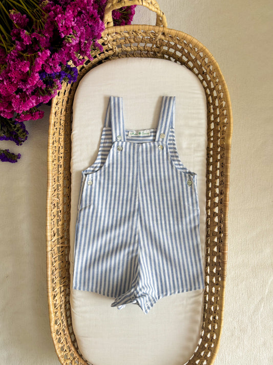 Jardineira Risca Azul