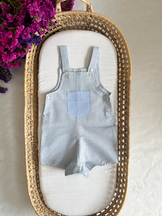 Jardineira Risca Azul